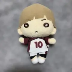 ハイキュー 菅原孝支 おおきいにとたん ぬいぐるみ - メルカリ