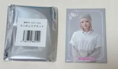 Item thumbnail for item 0a0bd943-5180-4108-8004-f3559bee23bb