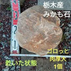 2026年最新】みかも石の人気アイテム - メルカリ