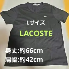 LACOSTE スリムフィット Tシャツ Lサイズ