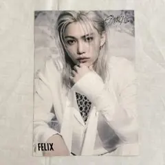 12 StrayKids フライヤー GIANT フィリックス