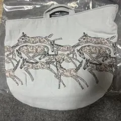 Item thumbnail for item 1ff7d1b3-74c7-406a-9d94-466beca03dc8