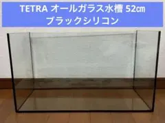 2026年最新】ガラス水槽の人気アイテム - メルカリ