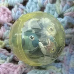 HUNTER × HUNTER シズク ガシャポン！ コレクション ヨークシン