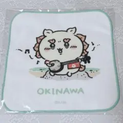 치이카와 시사 기념품