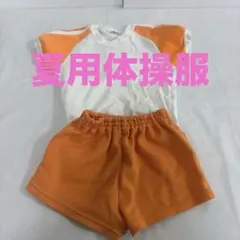 がんばりっ子　夏用体操服 110 上下