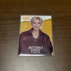 Butterfly Effect 八木勇征 フォトカード シクレ