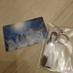 櫻坂46 石森璃花 港区パセリ アクリルキーホルダー クリアカード