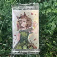 ウマ娘 プリティーダービー ツインウエハース Special ジャングルポケット