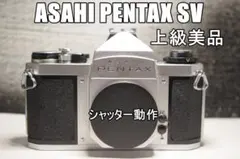 Item thumbnail for item 9ced8c5c-00f3-4ac3-ac14-1a27c8307641