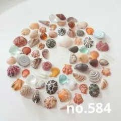 no.584 シーグラスと天然ミニ貝殻 セット
