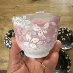 桜模様のグラスとお皿5個セット