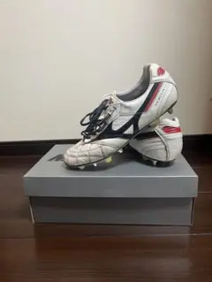 モレリア2Japan MIX 27cm