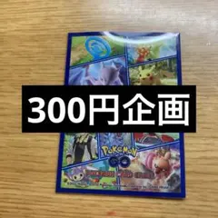300円企画 詳しくは300円企画の説明欄をご覧下さい