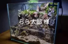 滝の流れるアクアテラリウムpart4 15cmキューブ水槽 - メルカリ