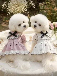 【大人気！】犬服 フリル ドレス ハート柄 リボン付 ホワイト