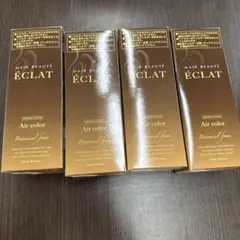 ヘアボーテ　ボタニカル　エアカラーフォーム　 ダークブラウン 80g 開封未使用のサムネイル