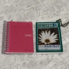 campus ジャポニカ学習帳　ガチャガチャ　ミニチュア