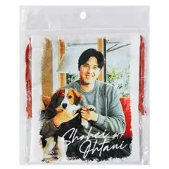 2026年最新】大谷翔平デコピンの人気アイテム - メルカリ