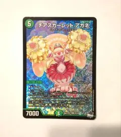 2025年最新】チアスカーレットアカネの人気アイテム - メルカリ