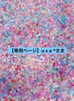 【専用ページ】u s a *さま