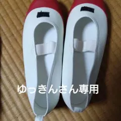 バレーシューズ22.0センチ、22.5センチ