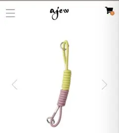 ajew WEB限定 coil strap