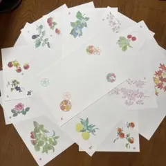 Item thumbnail for item ced94f98-0ec9-47f3-9195-3f124ece7b54