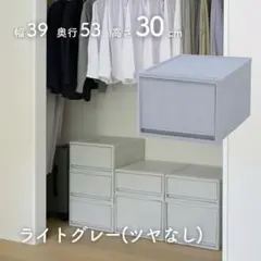 山善　収納ボックス　1個組　Ｌ(30cm) 奥行53cm