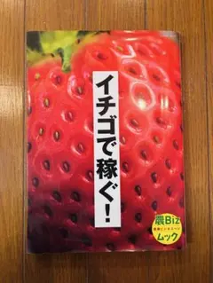 イチゴで稼ぐ！農Bizムック