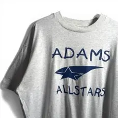 90s USA Fruit of the Loom Tシャツ T H03