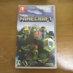 Minecraft Nintendo Switch版