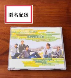 嵐 シングル CD きっと大丈夫 通常盤 ジェイ・ストーム