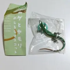トカゲとヤモリ　めじるしマスコット　アオカナヘビ(メス)のサムネイル