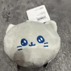 チェゴシム ぬいぐるみミラー