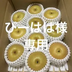 ぴーはは様専用