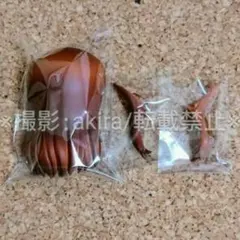 シュタインズ・ゲート 牧瀬紅莉栖 ねんどろいど 後ろ髪パーツ ロングヘアー 茶髪