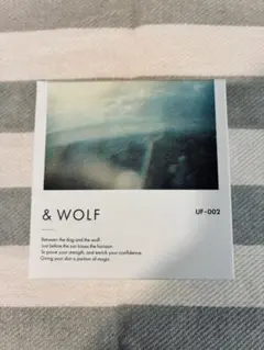 ☆新品☆Nオーガニック&wolf UVセラムリキッドファンデーション　UF002