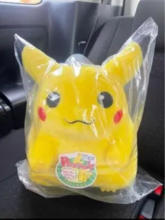 ポケモン30周年記念おかえり!ピカチュウ1/1