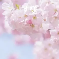す様