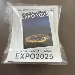 大阪・関西万博 EXPO2025 ピンバッジ 非売品　大屋根リング