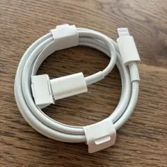 Item thumbnail for item ec5e23eb-081d-4db8-95a4-562ab97db746