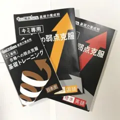 進研ゼミ高校講座 合格への弱点克服基礎トレーニング 英語 国語 日本史