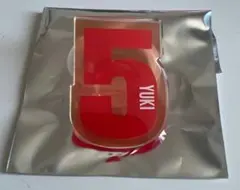 超特急 ペンライトアクセサリー ユーキ