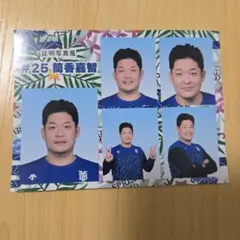 横浜DeNAベイスターズ 宜野湾キャンプ 証明写真風ブロマイド 宮﨑敏郎
