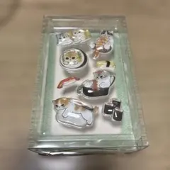 新品未開封　mofusand モフサンド　ぷくちゅるシール　PUKUCHURU