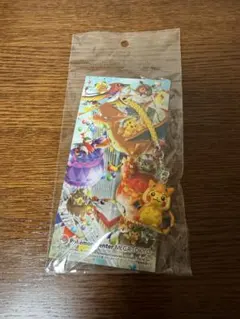ポケモンセンター メガトーキョー ポンチョ ピカチュウ (リザードン)