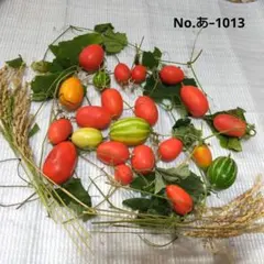 押し花素材　❖ カラスウリ 、稲穂セット ♪(^o^)/　④