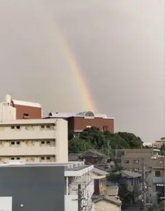 ともくん様