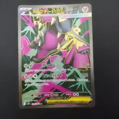 メガクチートex SR